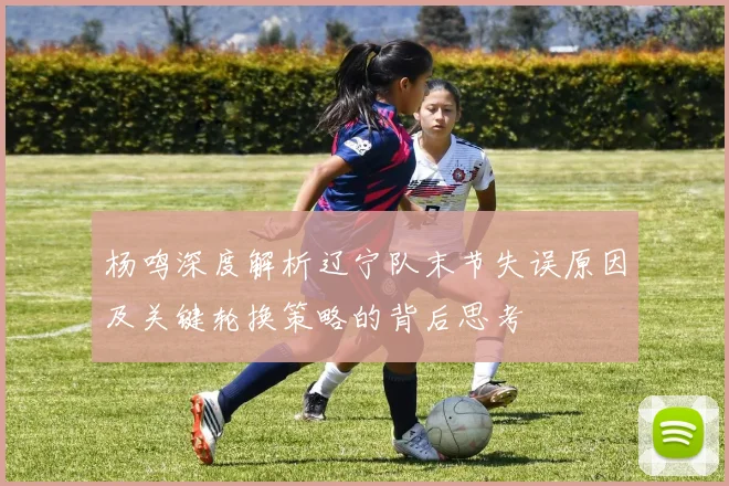 杨鸣深度解析辽宁队末节失误原因及关键轮换策略的背后思考